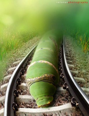 Product picture caterpillar train